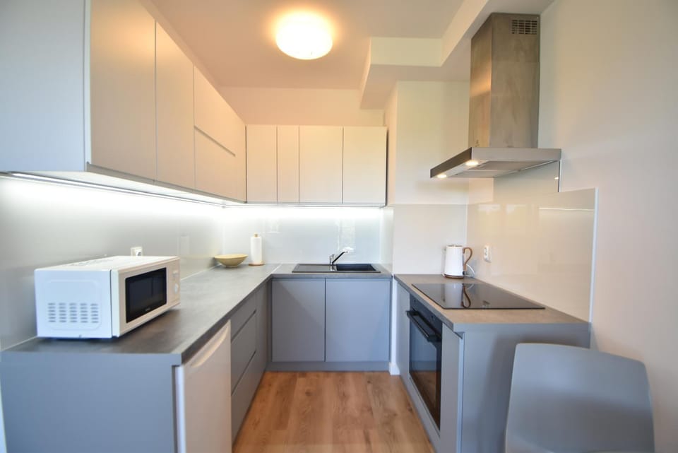 Kitchen or kitchenette, dishwasher, oven, stove