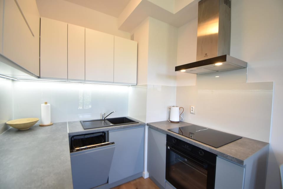 Kitchen or kitchenette, dishwasher, stove