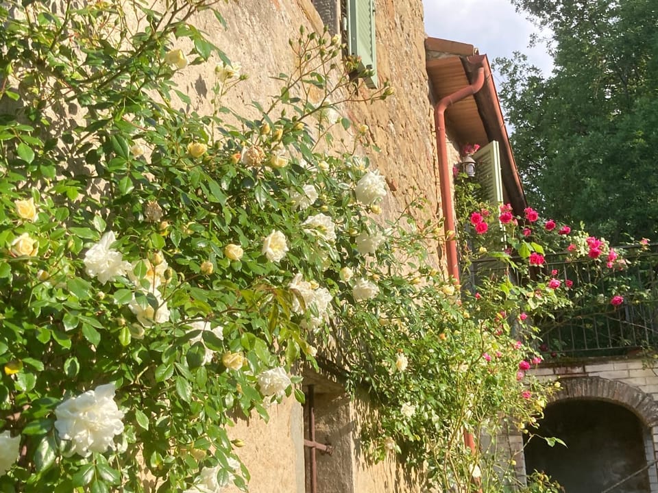 Bargi Country House in Umbria
