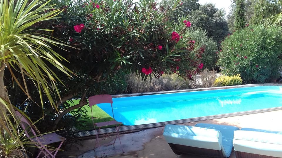 Pool view