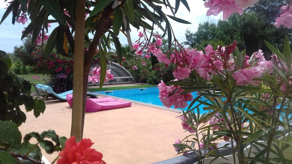 Property building, Pool view