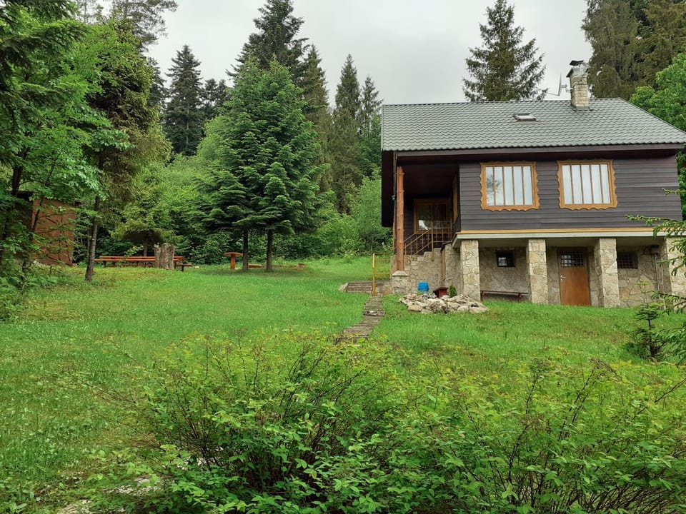 Property building, Summer, View (from property/room), Other, Other, Entertainment, Family