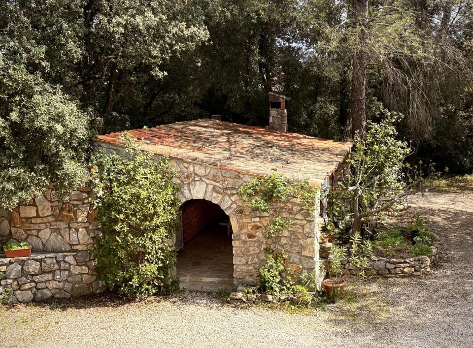 Villa Le Niaouli House in Lorgues