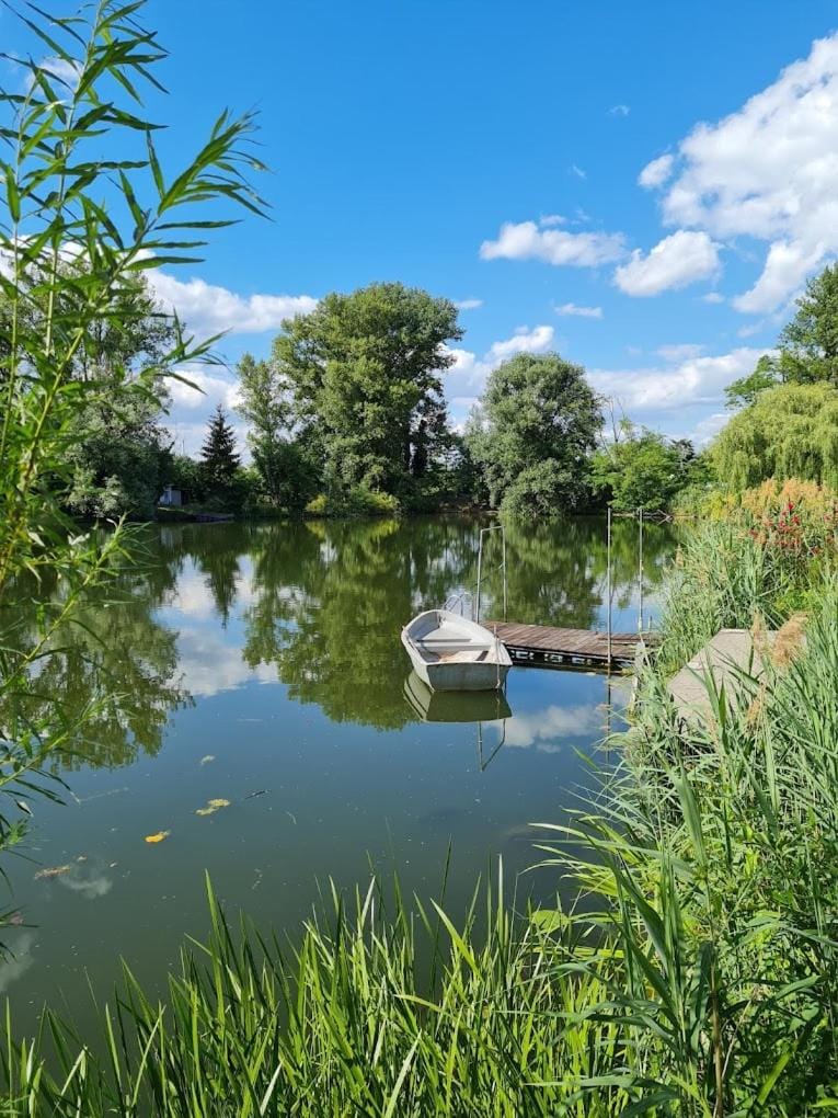 Ferienwohnung Karlsruhe Apartment in Karlsruhe
