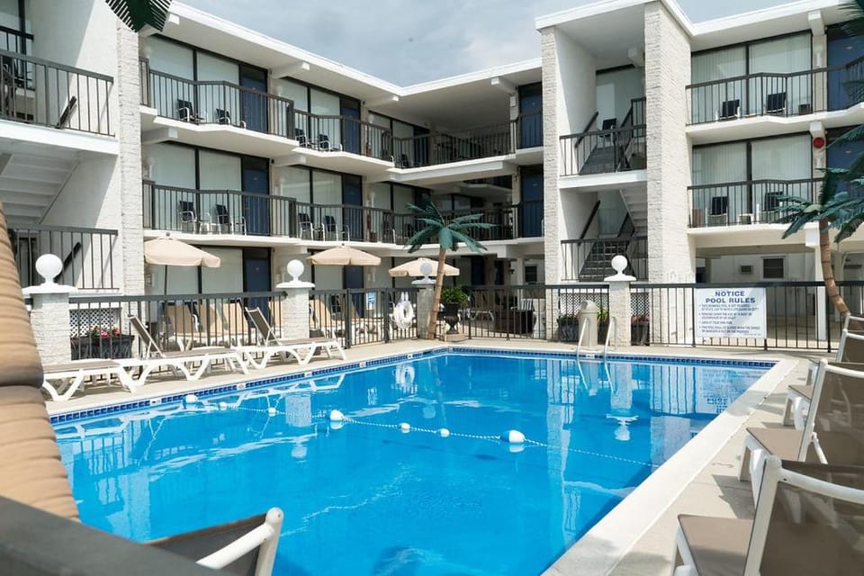 Pool view, Swimming pool, sunbed