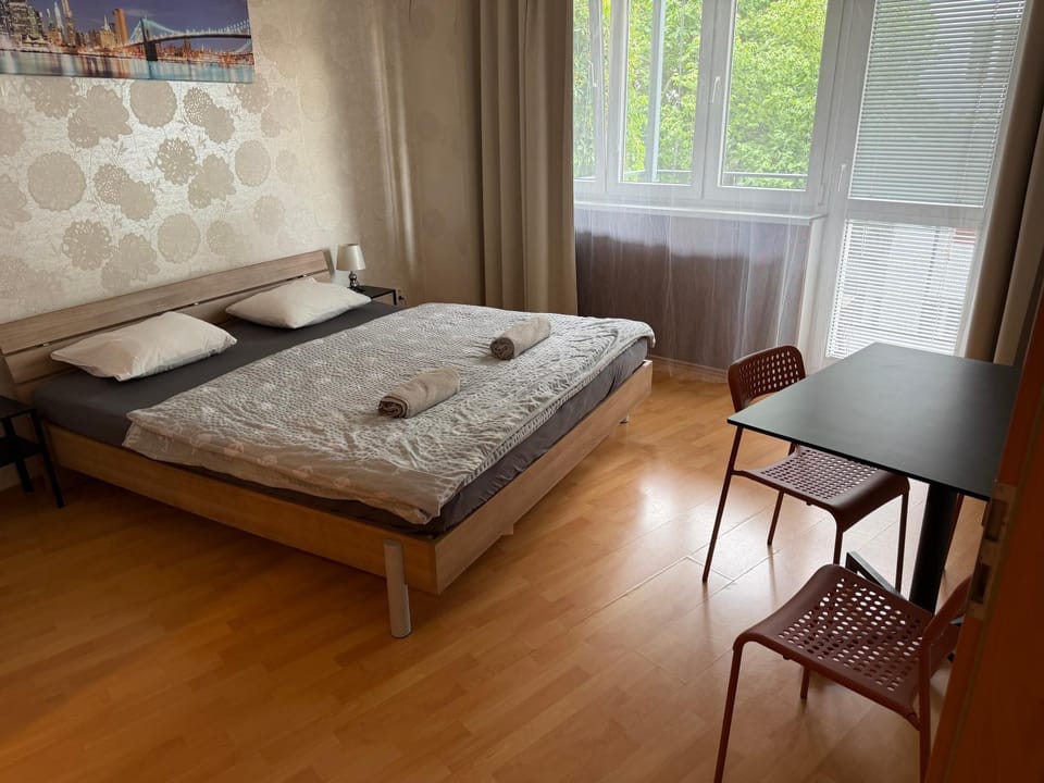 KEY Accommodation Pellicova Apartment in Brno