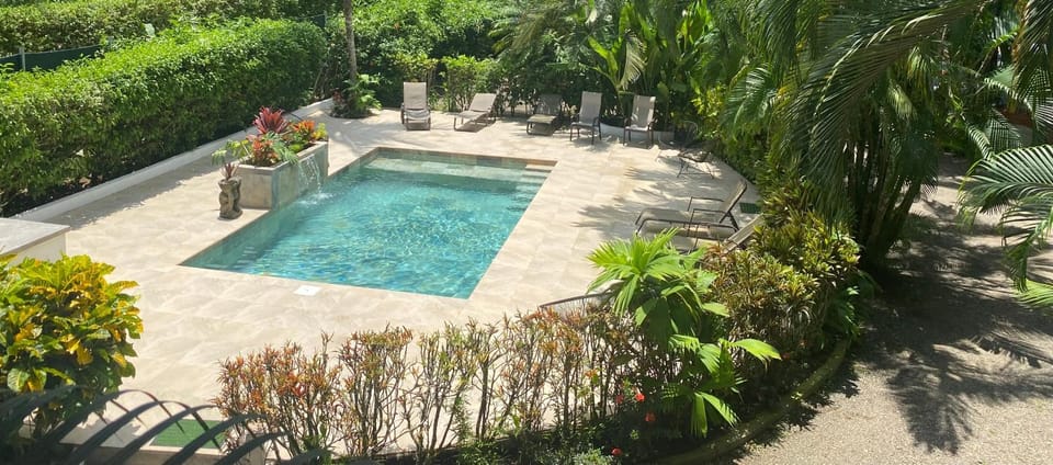 Bird's eye view, Garden, Pool view