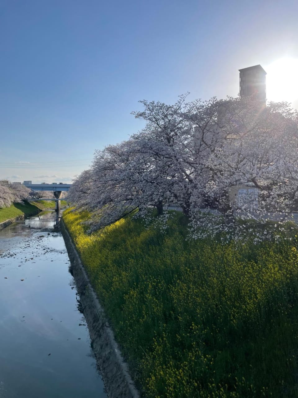 Spring, Day, Natural landscape