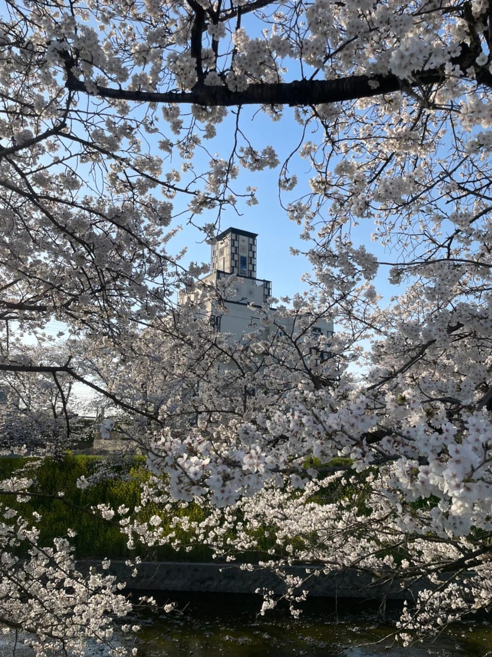 Spring, Day