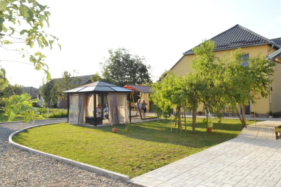 Patio, Natural landscape, Garden