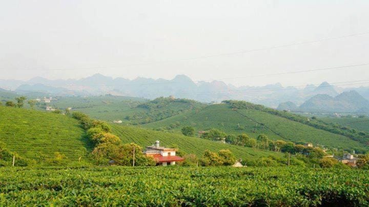 Garden view, Mountain view, Street view, Area and facilities