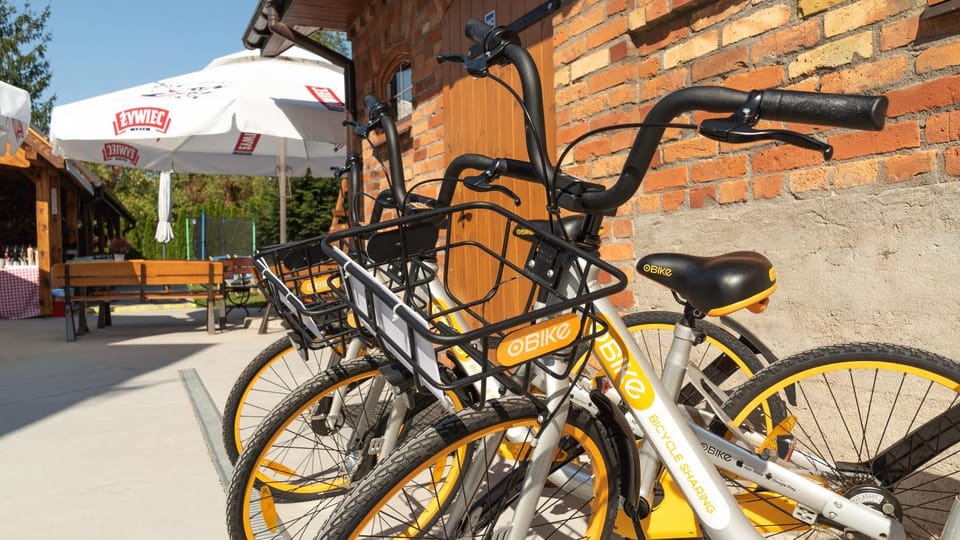 Day, Summer, Cycling, Cycling