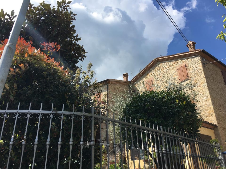Facade/entrance, Garden view