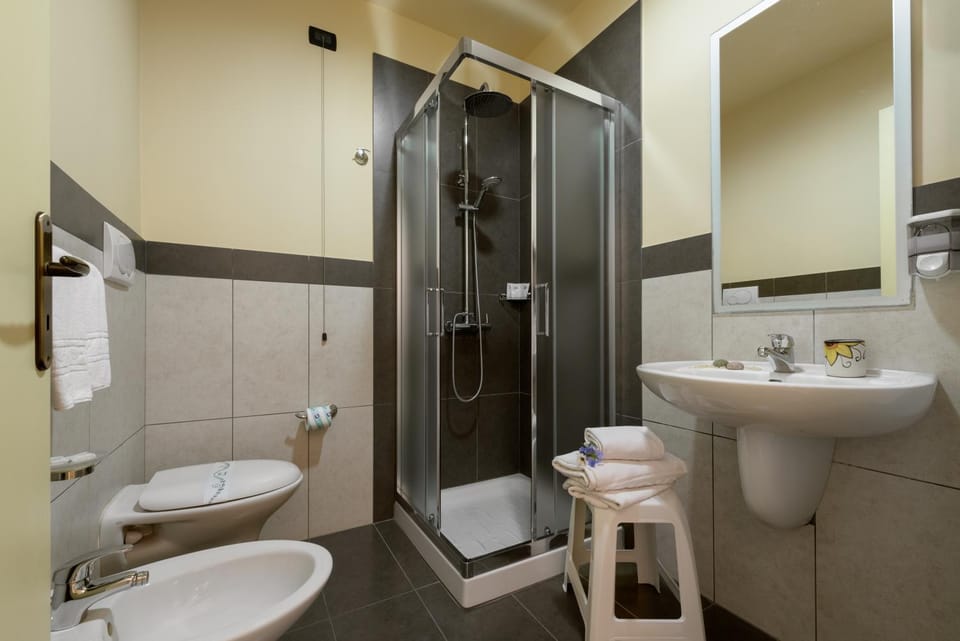 Shower, Toilet, Bathroom, bidet, towels