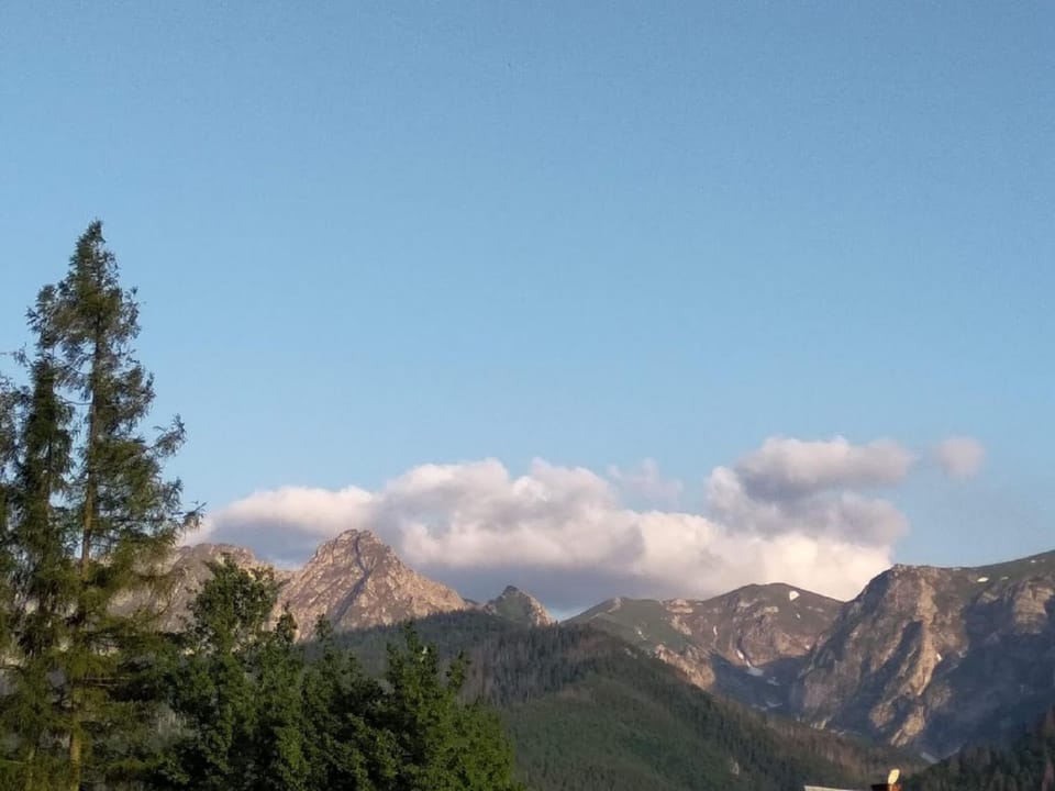 Neighbourhood, Mountain view