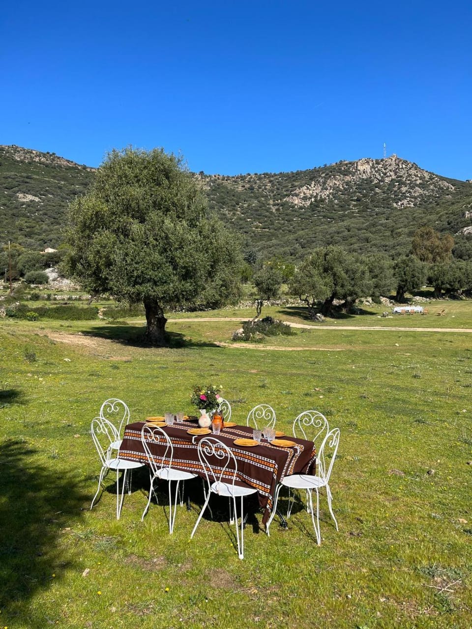 L'Aghjalle Bed and Breakfast in Corsica