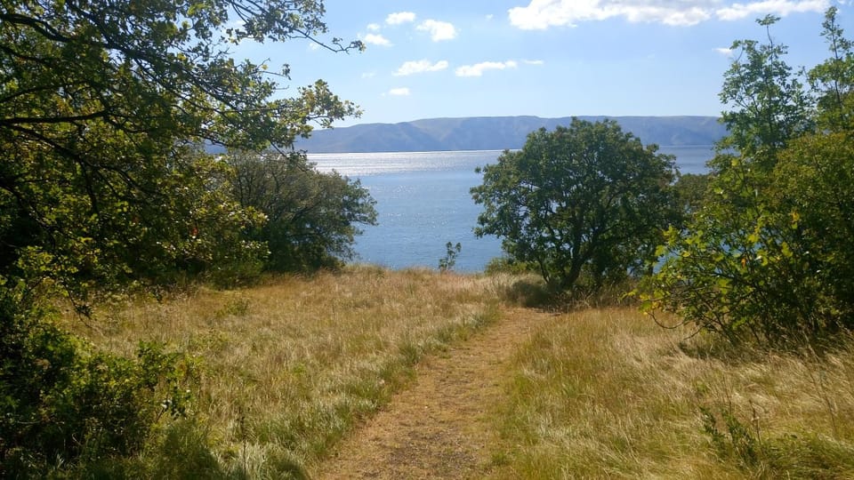 Natural landscape, Beach