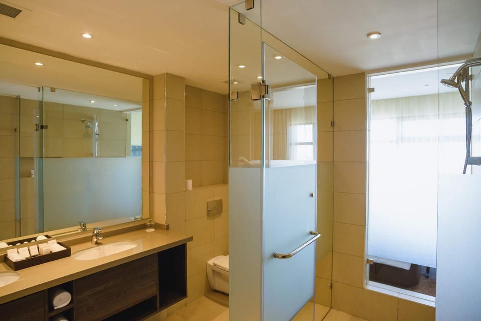 Shower, Toilet, Bathroom, Bath, bidet, towels
