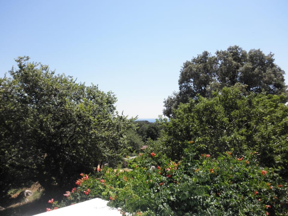 Natural landscape
