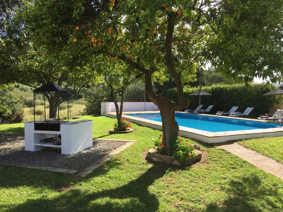 BBQ facilities, Garden, Swimming pool, Swimming pool