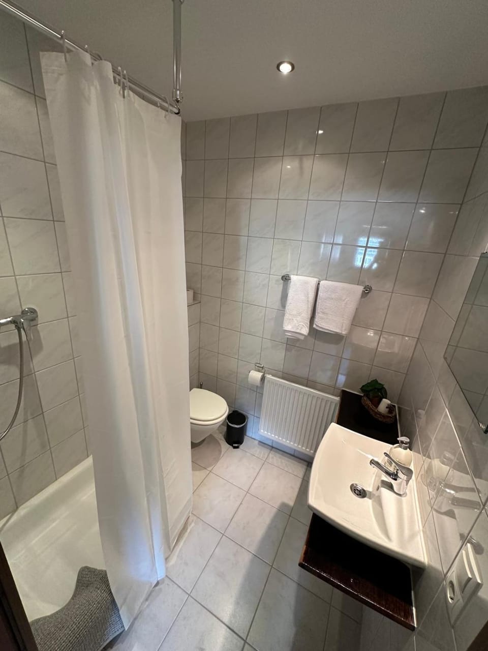 Shower, Toilet, towels