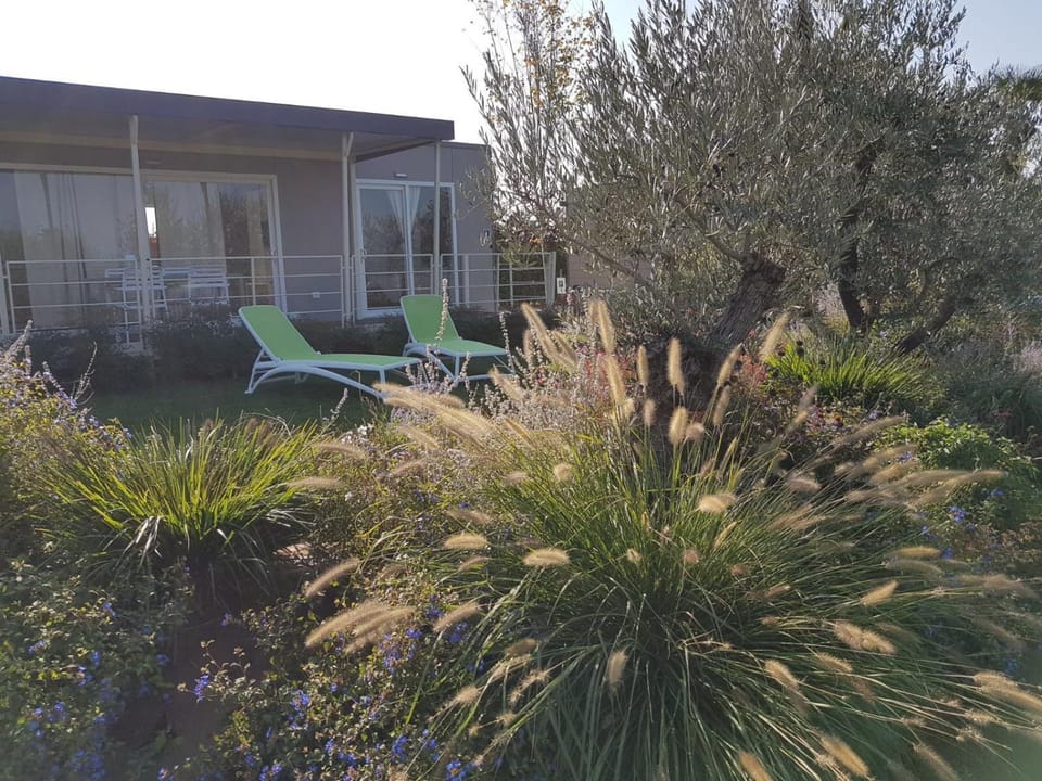 Property building, Garden