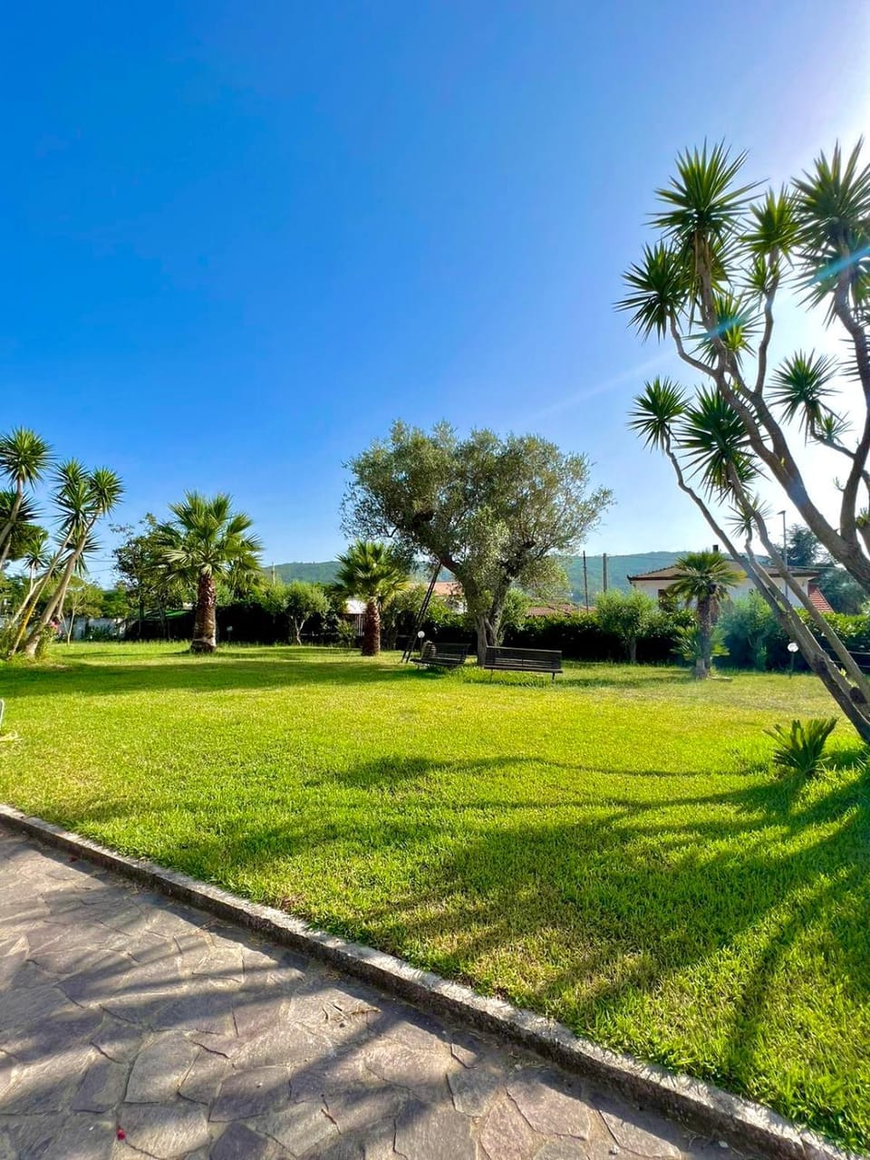 Spring, Day, Natural landscape, Garden, Garden view