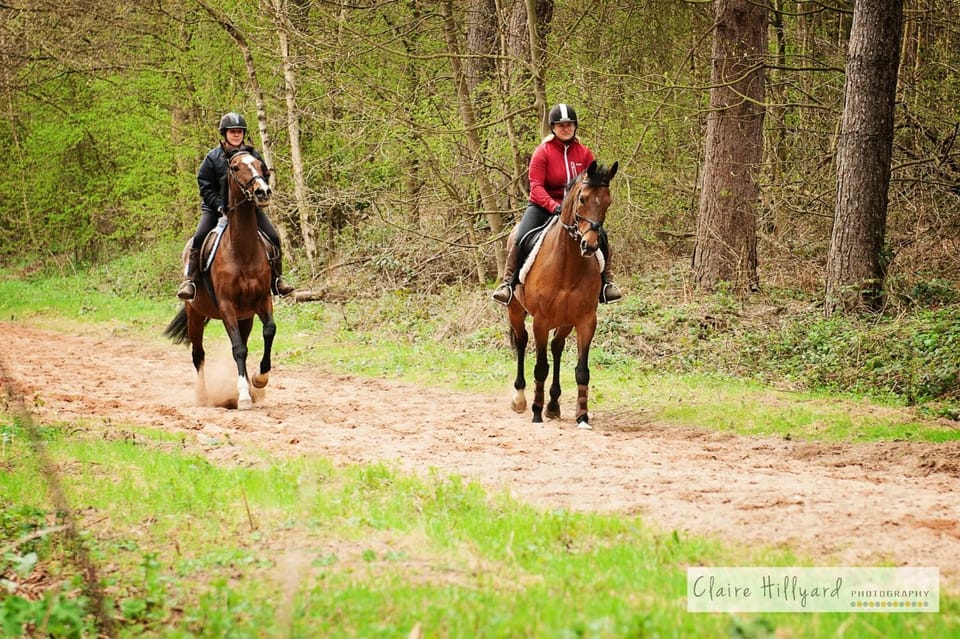 Activities, Horse-riding