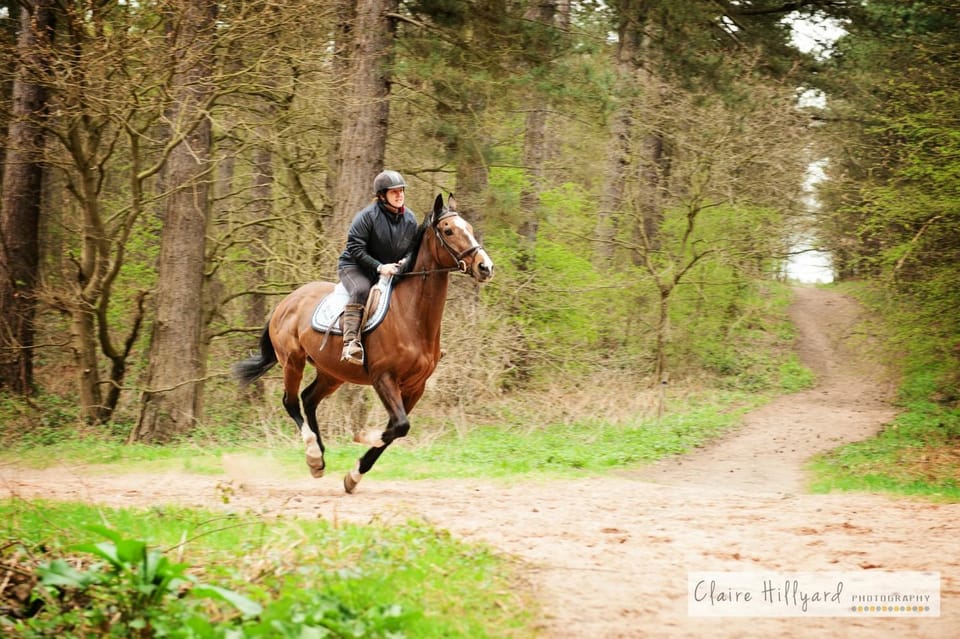 Activities, Horse-riding