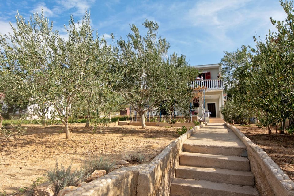 Property building, Facade/entrance, Garden