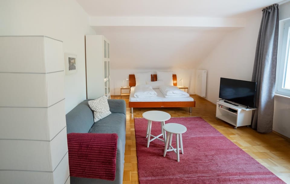 Bed, TV and multimedia, Living room, Photo of the whole room, Seating area, Bedroom