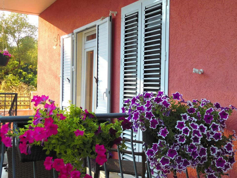 Apartments Sunrise Apartment in Kotor Municipality