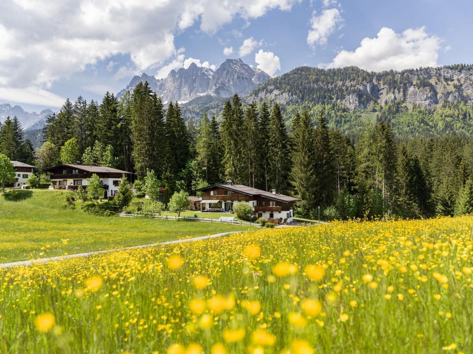 Natural landscape, Garden
