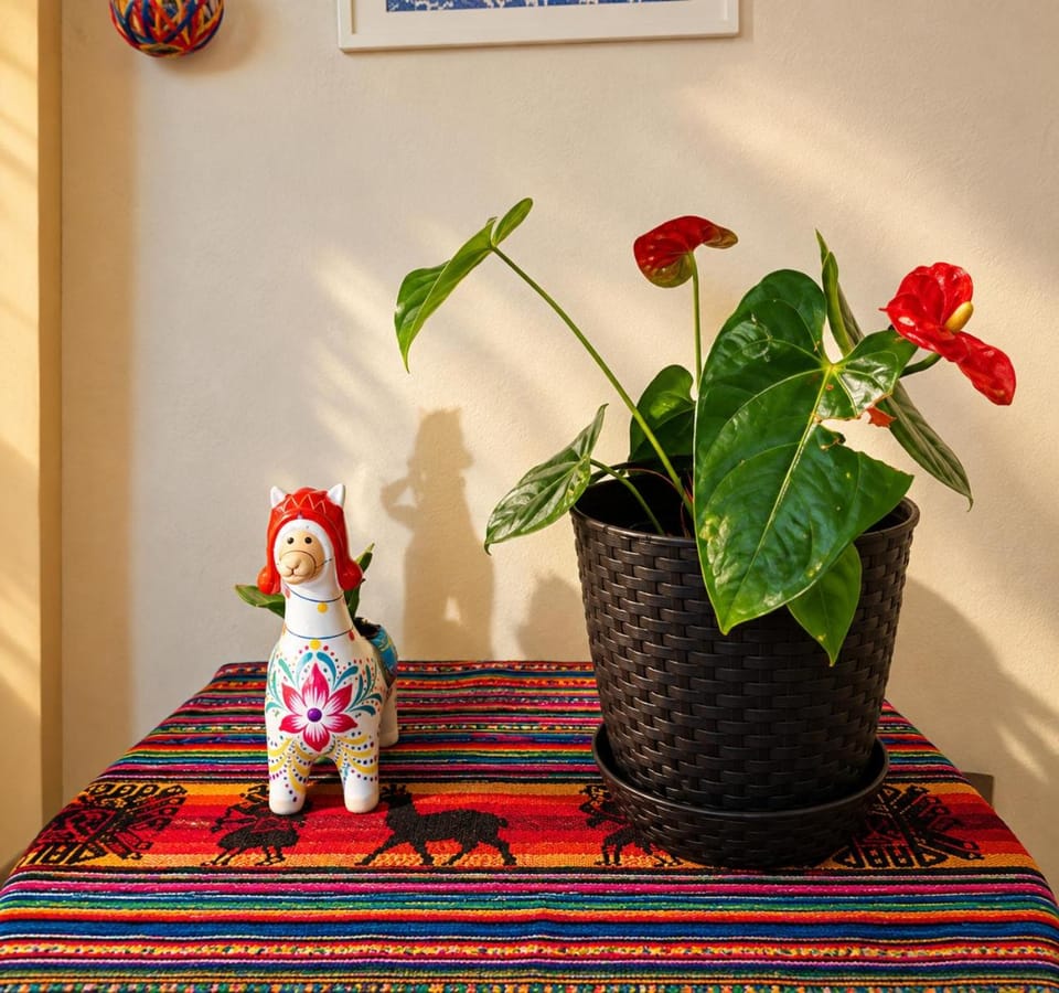 Passion Hostel - Barranco Hostel in Barranco