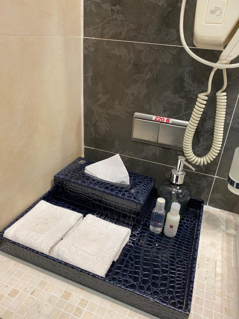 Shower, towels, dryer