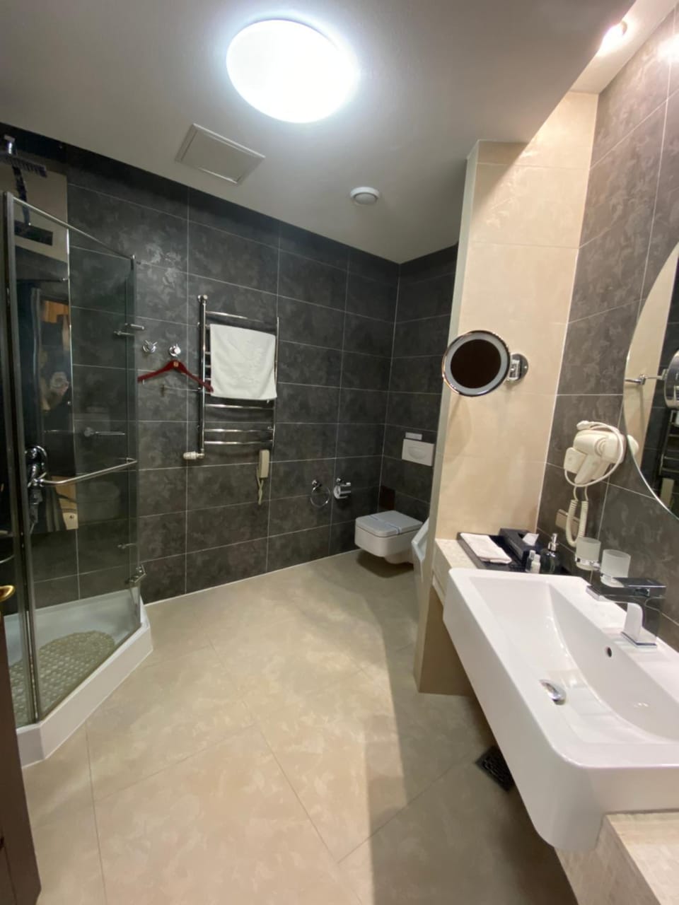 Shower, Toilet, towels