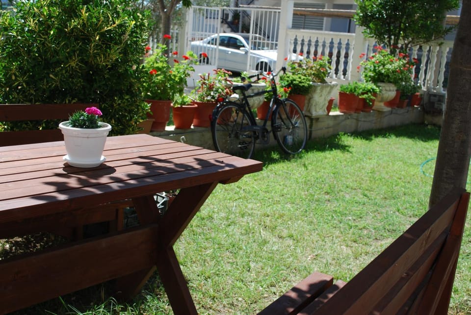 Patio, Garden
