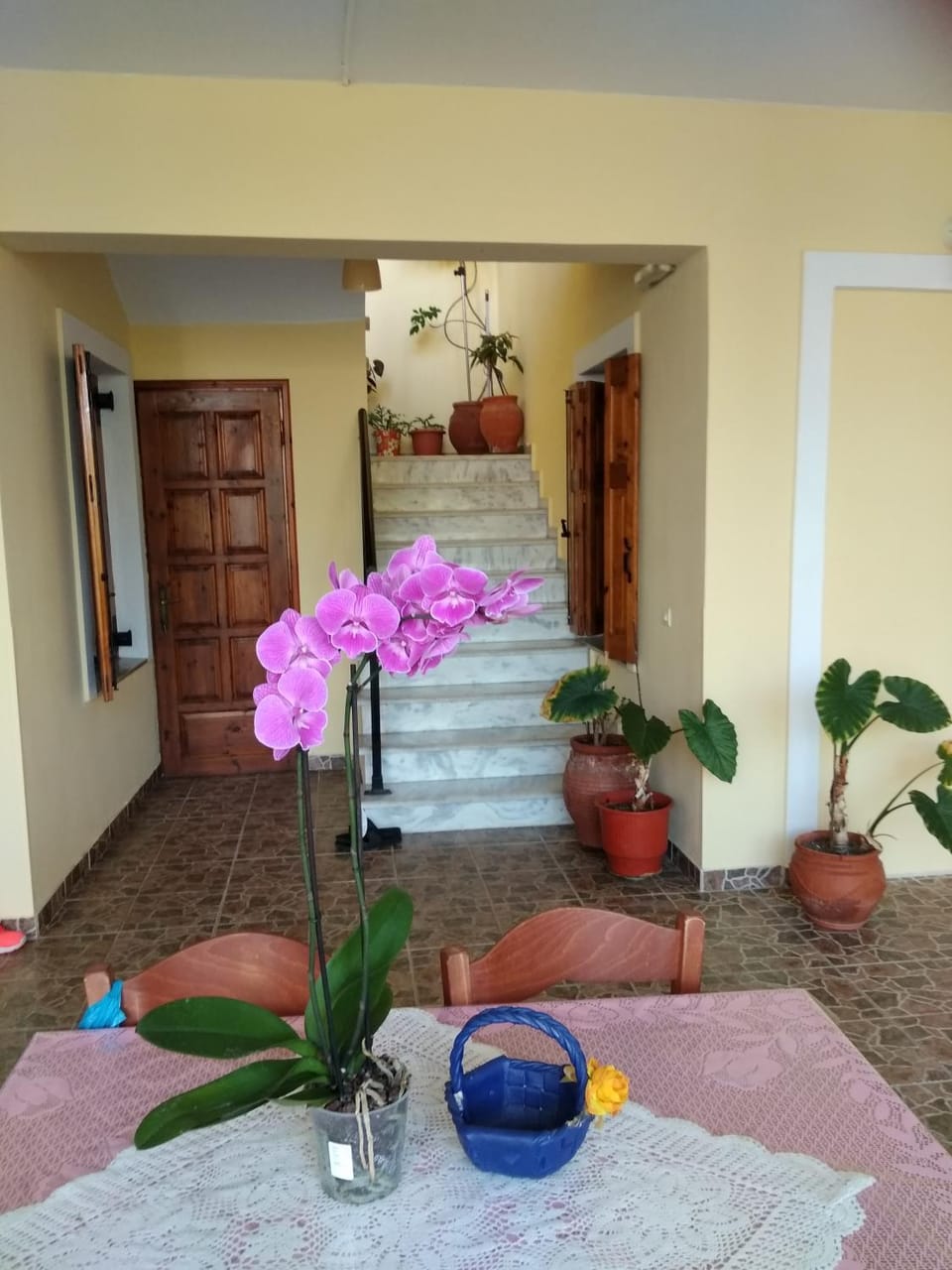 Summer Dream Apartment in Decentralized Administration of the Aegean