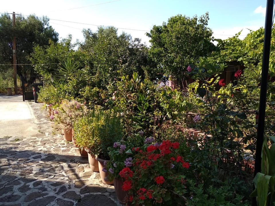 Summer Dream Apartment in Decentralized Administration of the Aegean