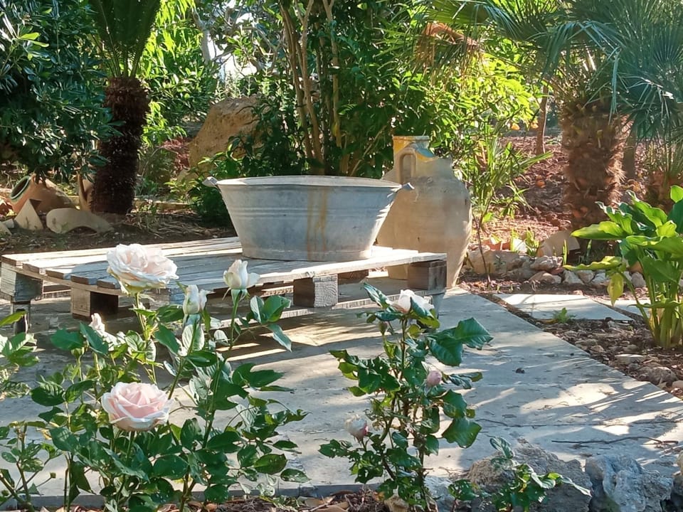 Garden, Garden view