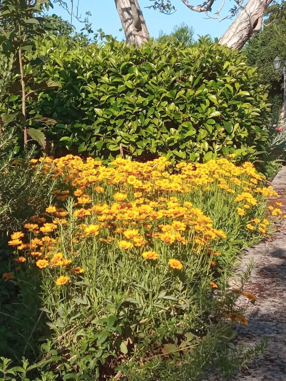 Garden, Garden view