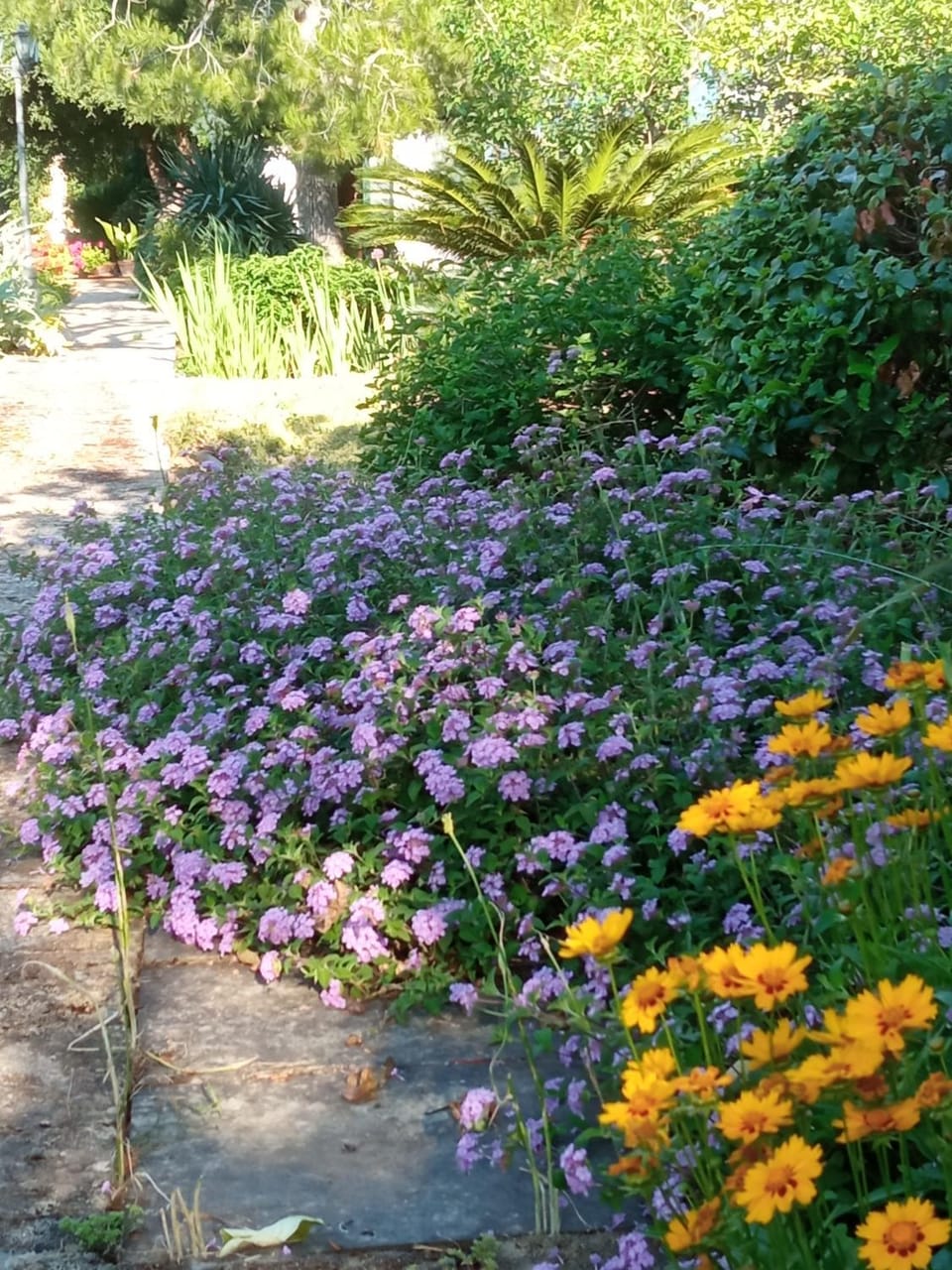 Spring, Garden view