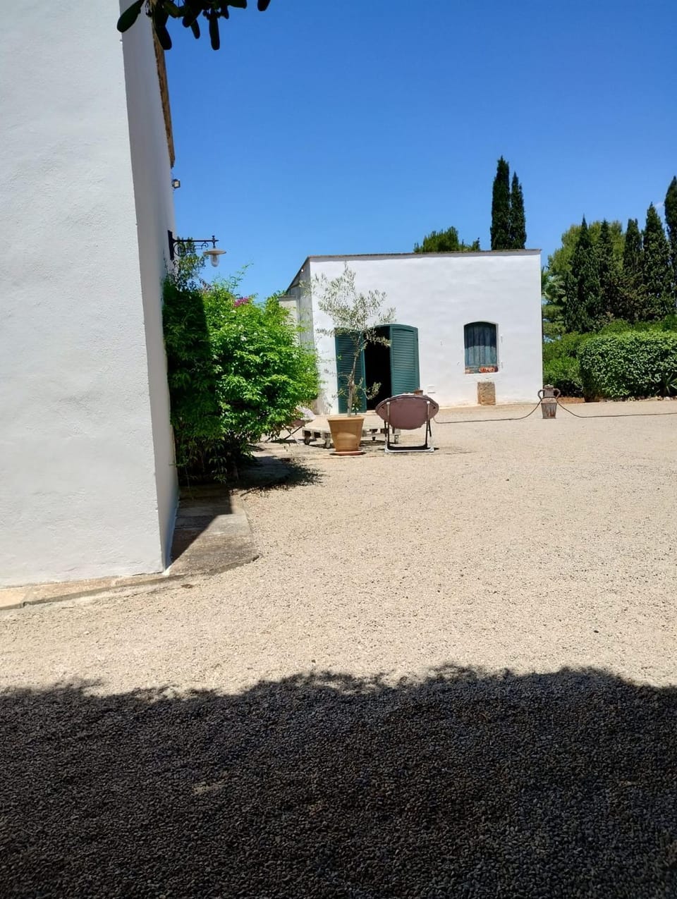 Garden view