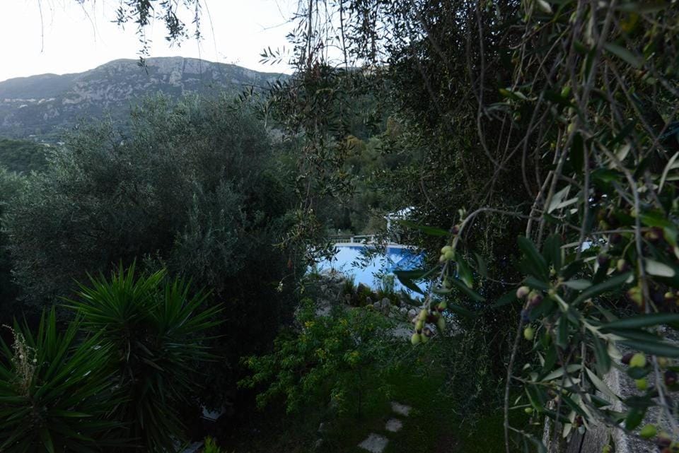 Natural landscape