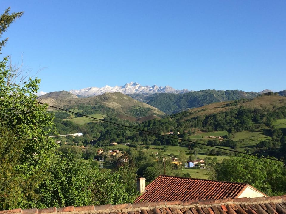 Mountain view