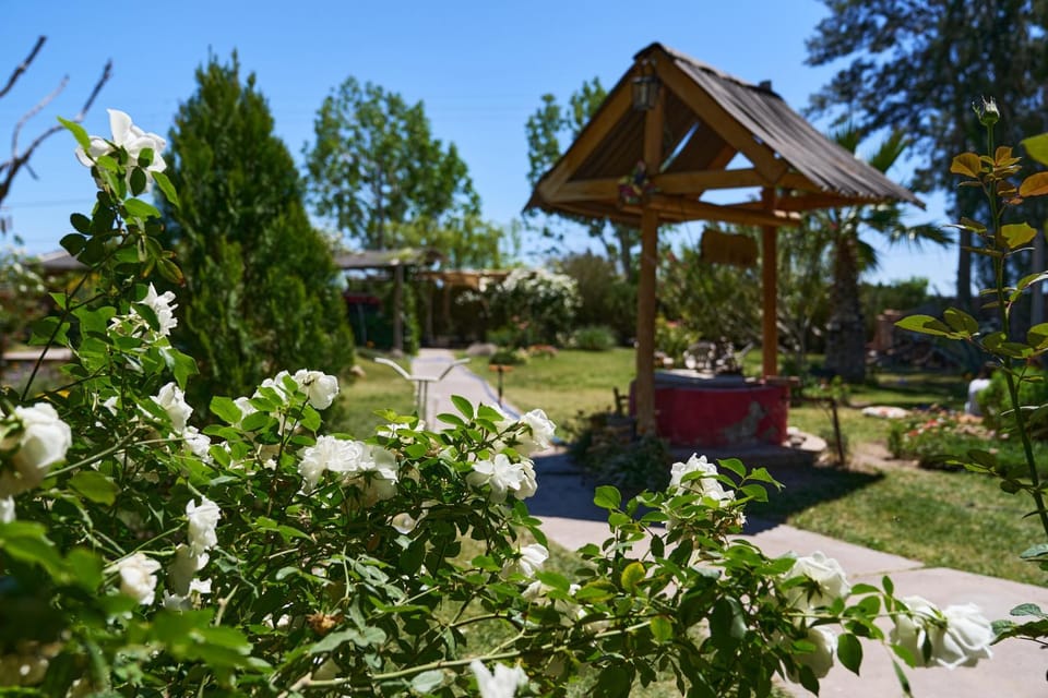 Garden, Garden view