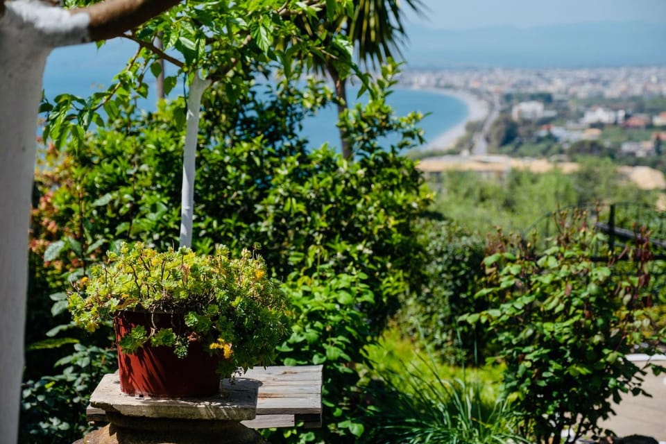 Spring, Day, Natural landscape, Beach, City view, Garden view, Sea view