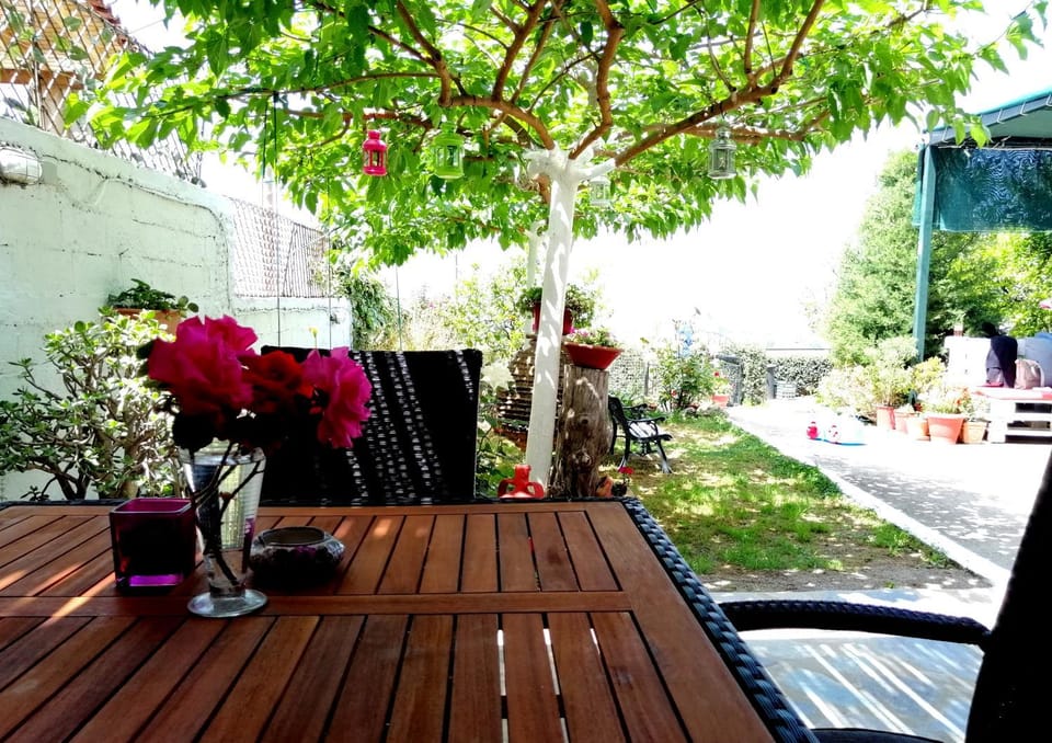 Natural landscape, On site
