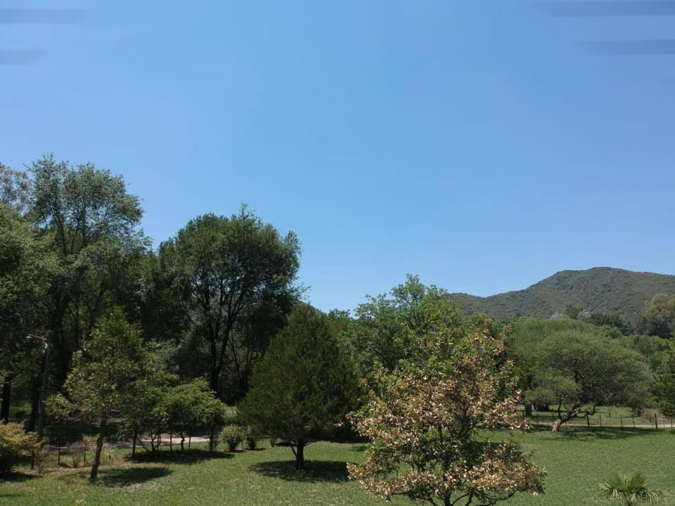 Natural landscape