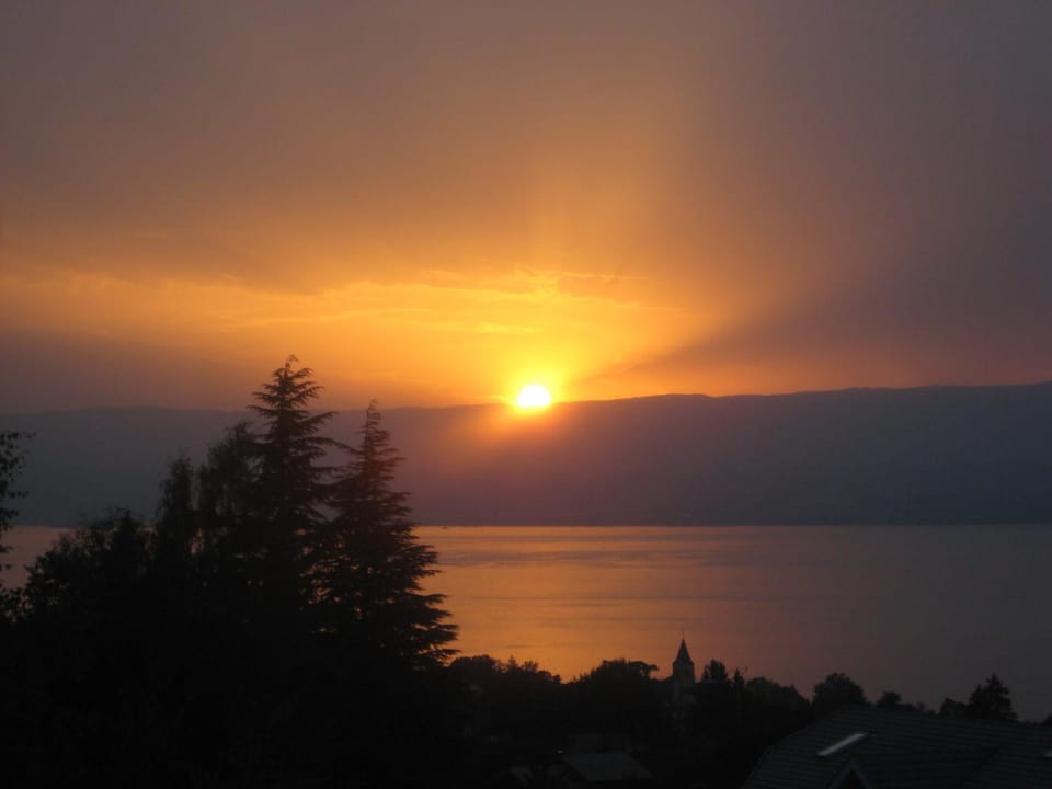 Le bois ramé House in Évian-les-Bains